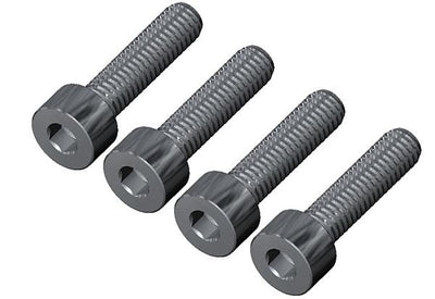 M4 x 16mm Grade 12.9 alloy steel Socket head cap screw (4) : AV00-100-434
