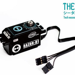 Theta Razor D1 Servo w/Gyro NFC HV Low Profile : TS-RD1G