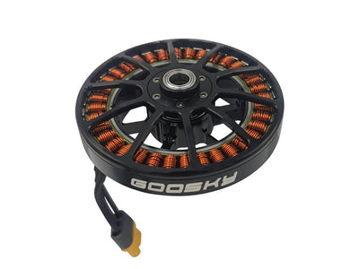 Goosky RS4 Main Motor : GT020029