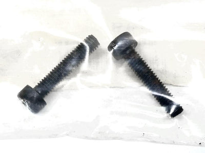 Robbe Socket Screw M4 x 20mm (2) : S-0049