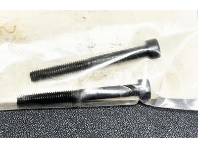 Robbe Socket Screw M4 x 40mm (2) : S-3066