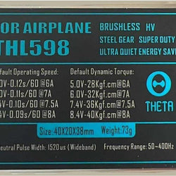 Theta RTHL598 Standard Servo : TS-RTHL598
