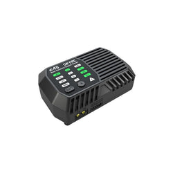 SkyRC E4S Multi-Chemistry AC Compact Charger : SK-100229-03