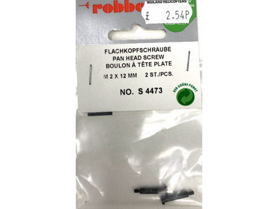 PAN HEAD SCREW (2)