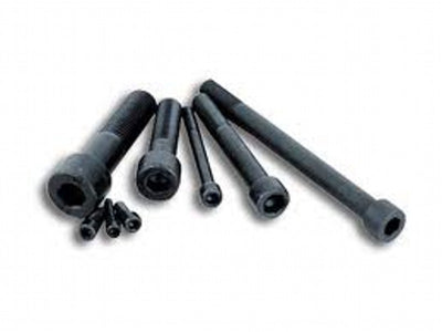 Synergy M4 x 10 Socket Head (5)