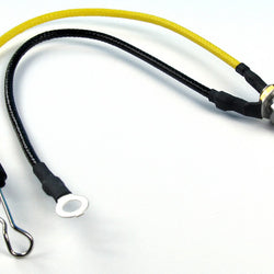 Deluxe Remote Glow Lead