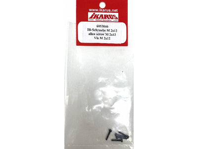 AH SCREW M2 X 12 (5)