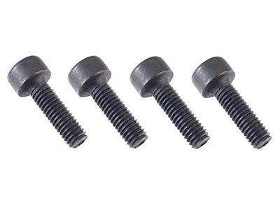 SOCKET SCREW - M3 X 10 (4)