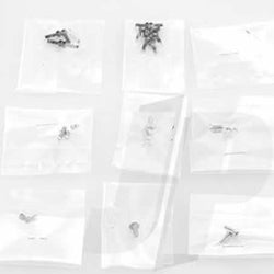 Screw Set (1) (Evolve 300CX)