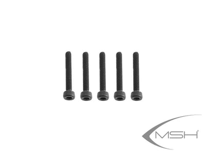 MSH M2 x 14 Socket head cap screw (5)