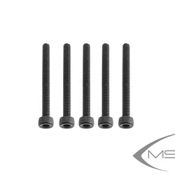 MSH M2 x 20 Socket head cap screw (5)