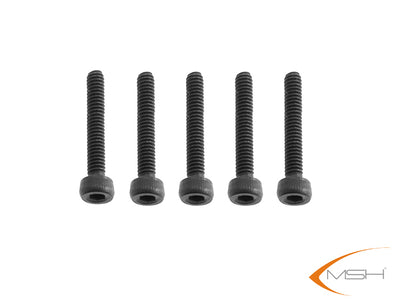 MSH M2.5 x 20 Socket head cap screw (5)