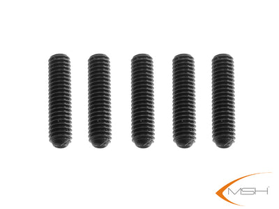 MSH M2.5 x 12 Socket set screw (5)