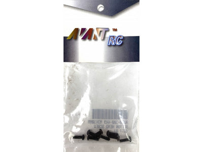 M3 x 10 Button Head screw (8)